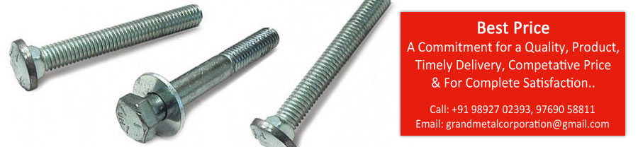 Carriage Bolts