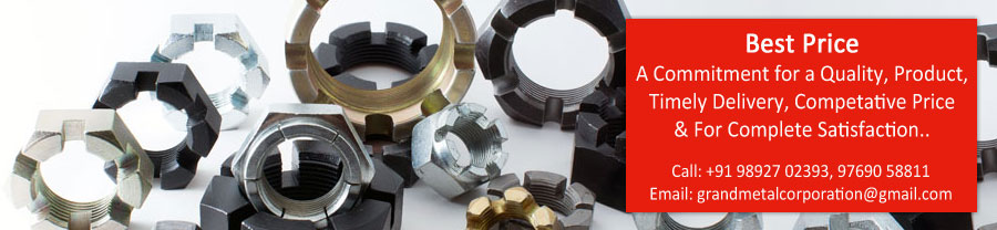 Slotted Hex Nuts