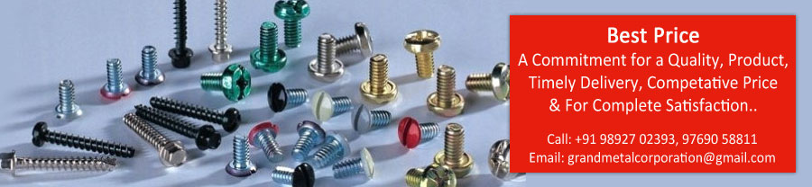 Stainless Steel Screws